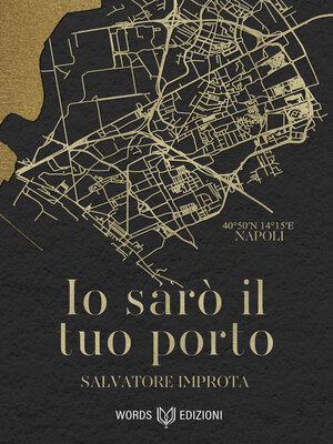 cover image of Io sarò il tuo porto